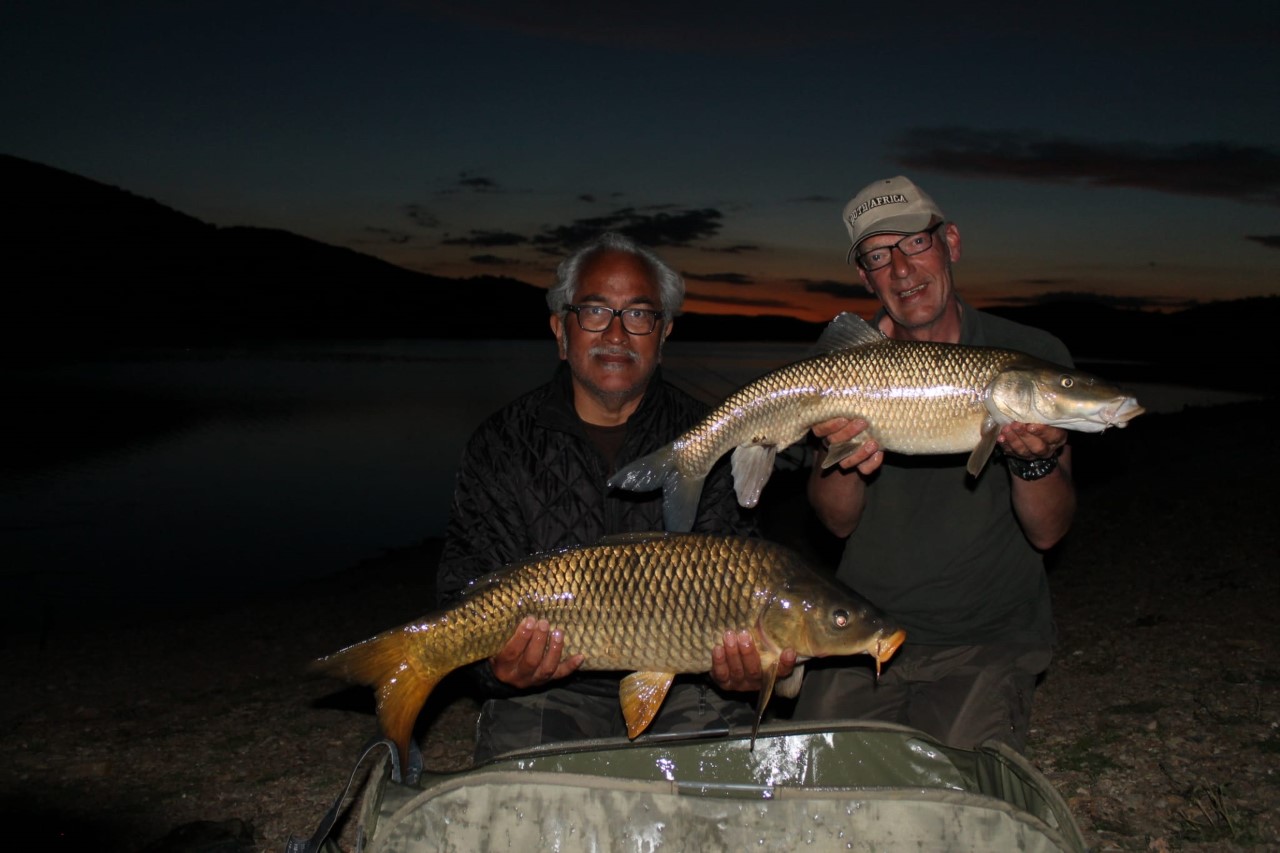 Barbel Comizo & Predator Fishing Spain – AnglersExpeditions